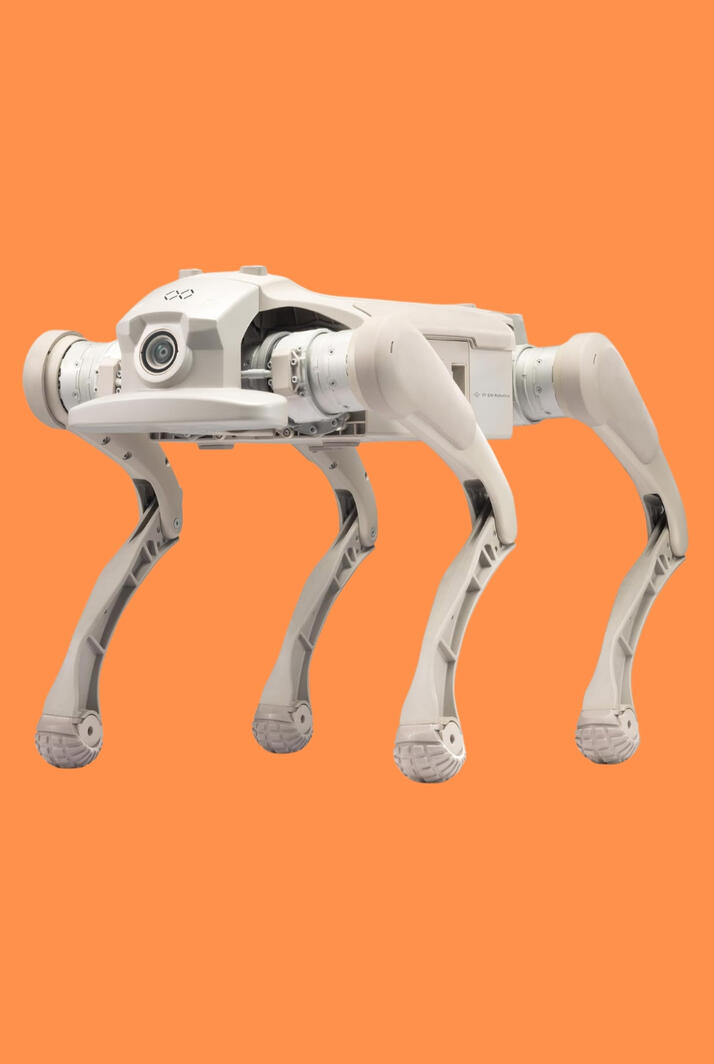 You can own this advanced programmable robot dog for Research and STEM The FX Aegis Ultra runs at 11.2 mph, climbs 40° slopes, clears 14-inch obstacles, carries 22 lbs, streams 4K video, and is fully programmable with Python, SDK, and API support. Powered by NVIDIA Orin NX 16G and built for real research and development.